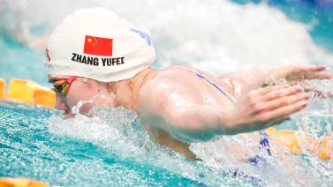 作出了一个 作出了一个