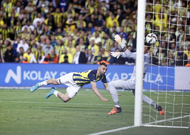 霍伊倫似乎 霍伊倫似乎