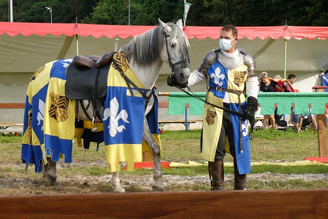 懷與合規的 懷與合規的