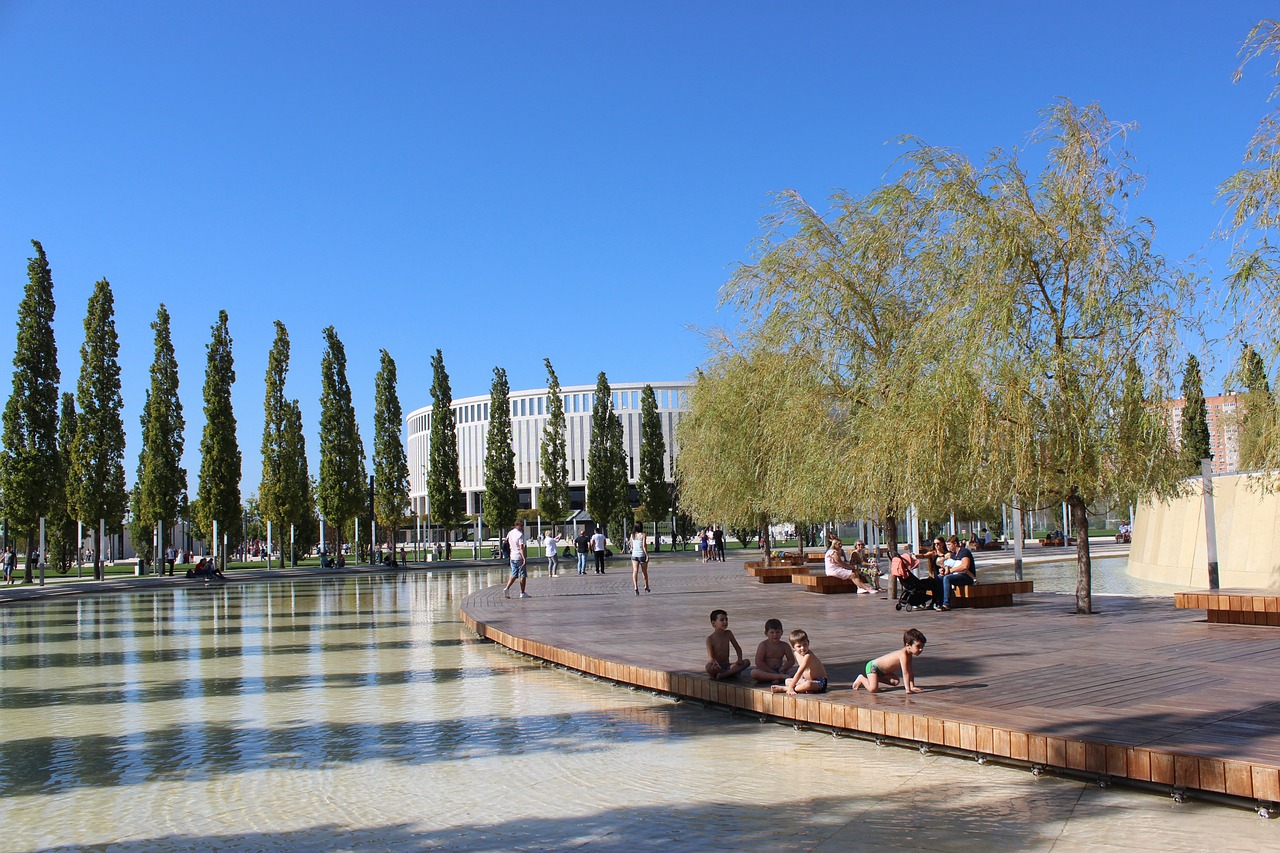 赛的成败 赛的成败