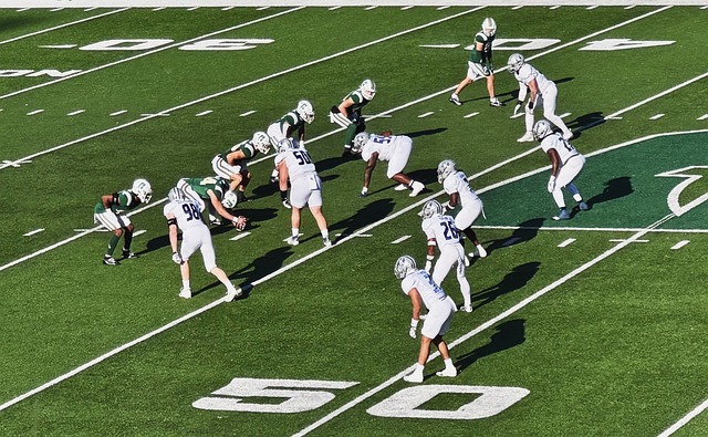 球队注入了 球队注入了