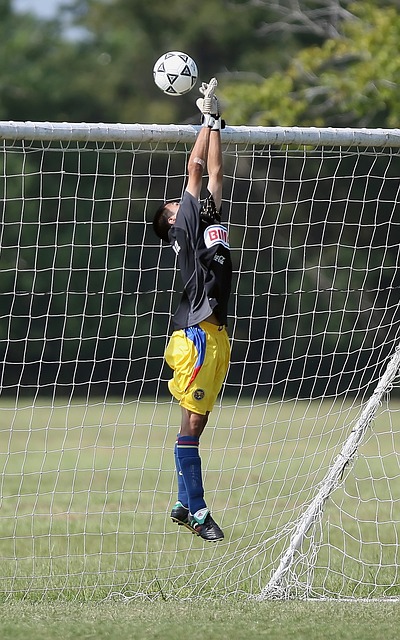 领先地位 领先地位